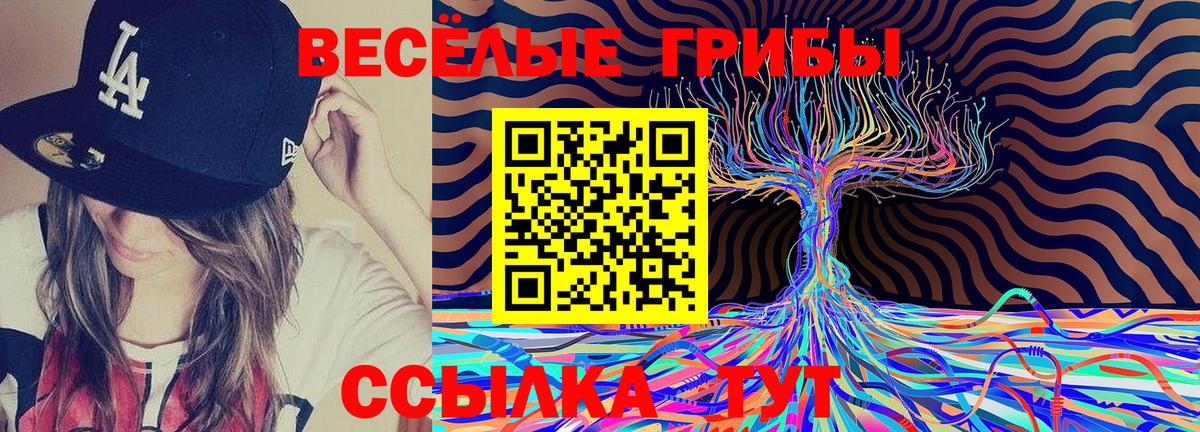 Новодвинск  Галлюциногенные грибы Psilocybe  Вход с VPN  Псилоцибиновые грибы Psilocybine cubensis 